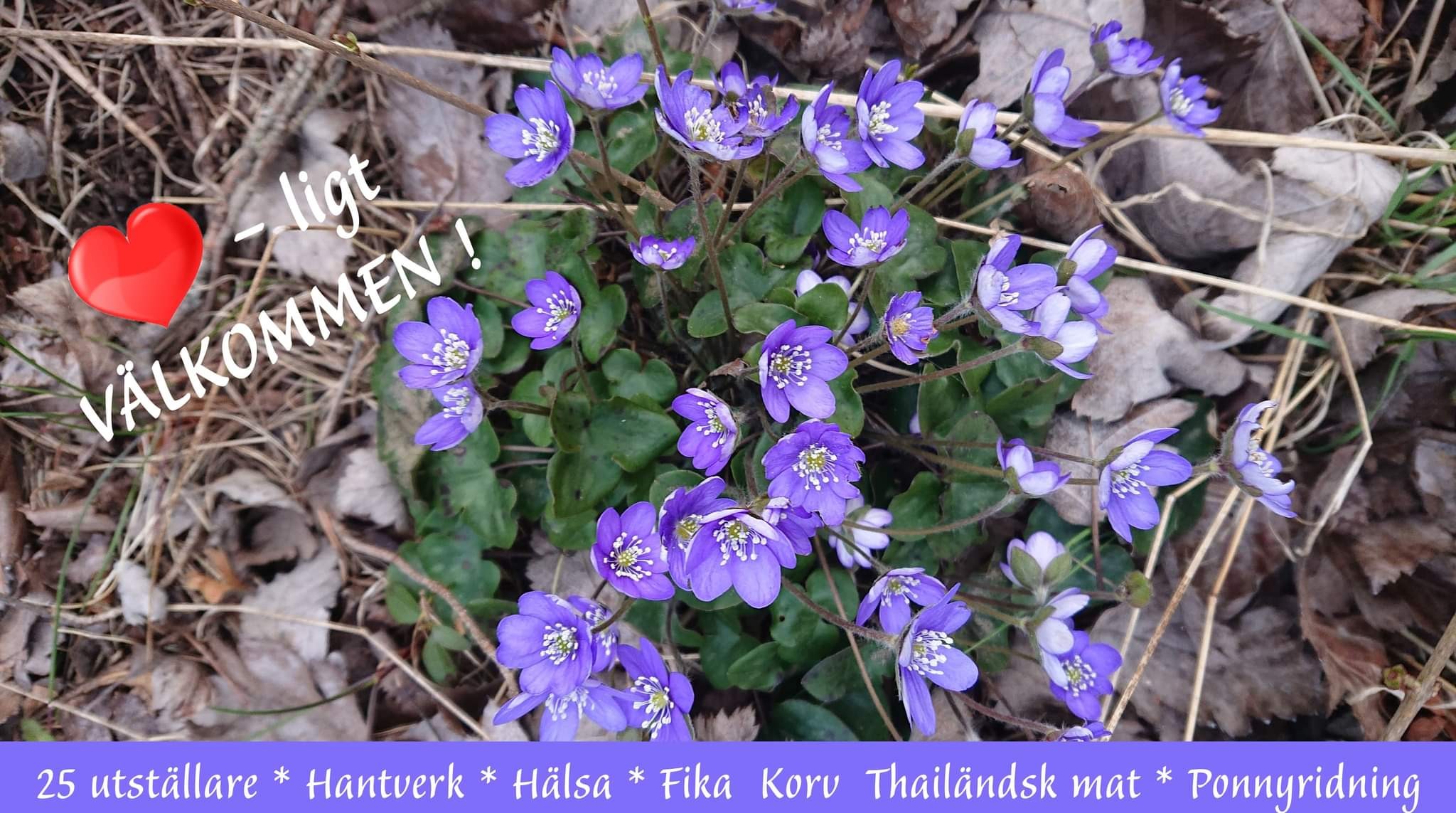 Hälsodag på Gotland!